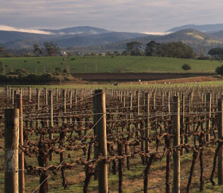 运行流畅持久的24小时呼叫轰炸神器